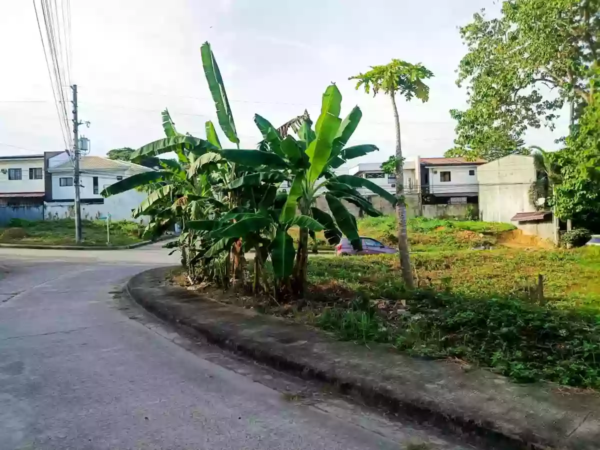 For Sale: 274 sqm Corner Lot in Metropolis Subd., Talamban, Cebu City — Residential Lot in Cebu City, Cebu, 6000 — Photo 5