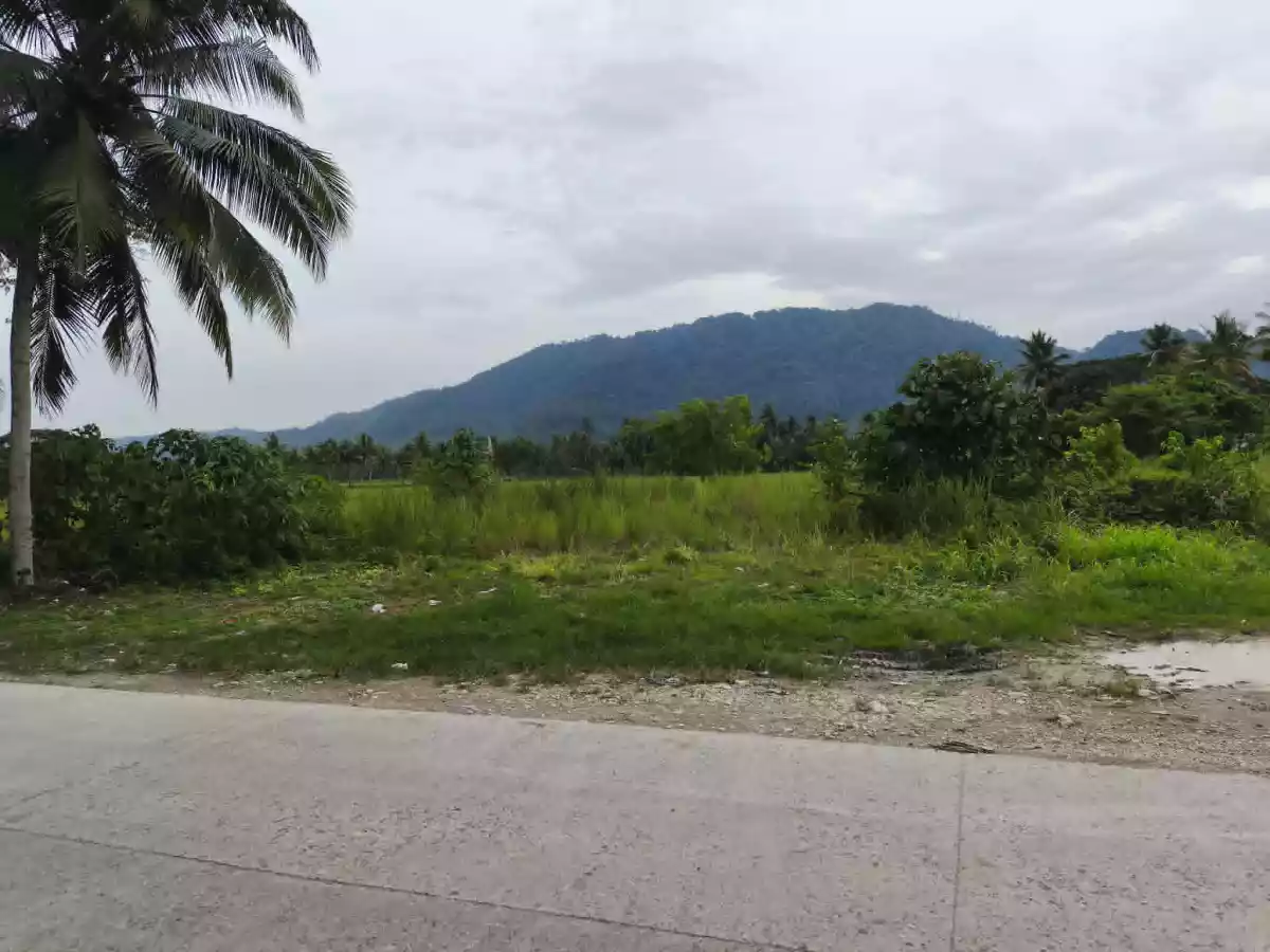 FOR SALE: Residential Lot in Barangay 5 (Pob.), San Francisco — 22,286 sqm — Residential Lot in San Francisco, Agusan del Sur, 8501 — Photo 5