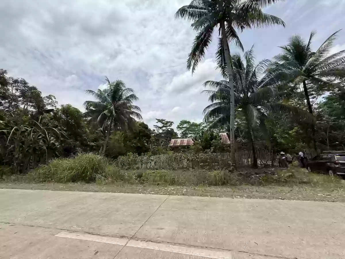 For Sale: Agricultural Lot in Marcelina, Bayugan City — 19550 sqm — Agricultural Lot in Bayugan City, Agusan del Sur, 8502 — Photo 2