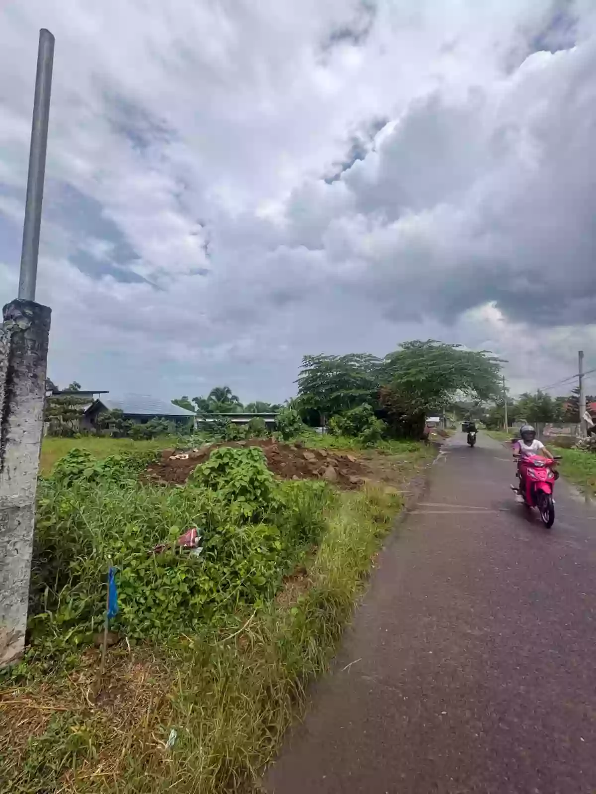 For Sale: Agricultural Lot Near Gaisano Grand Calinan, Davao City — 2000 sqm — Agricultural Lot in Calinan (Pob.), Davao City, Davao del Sur — Photo 3