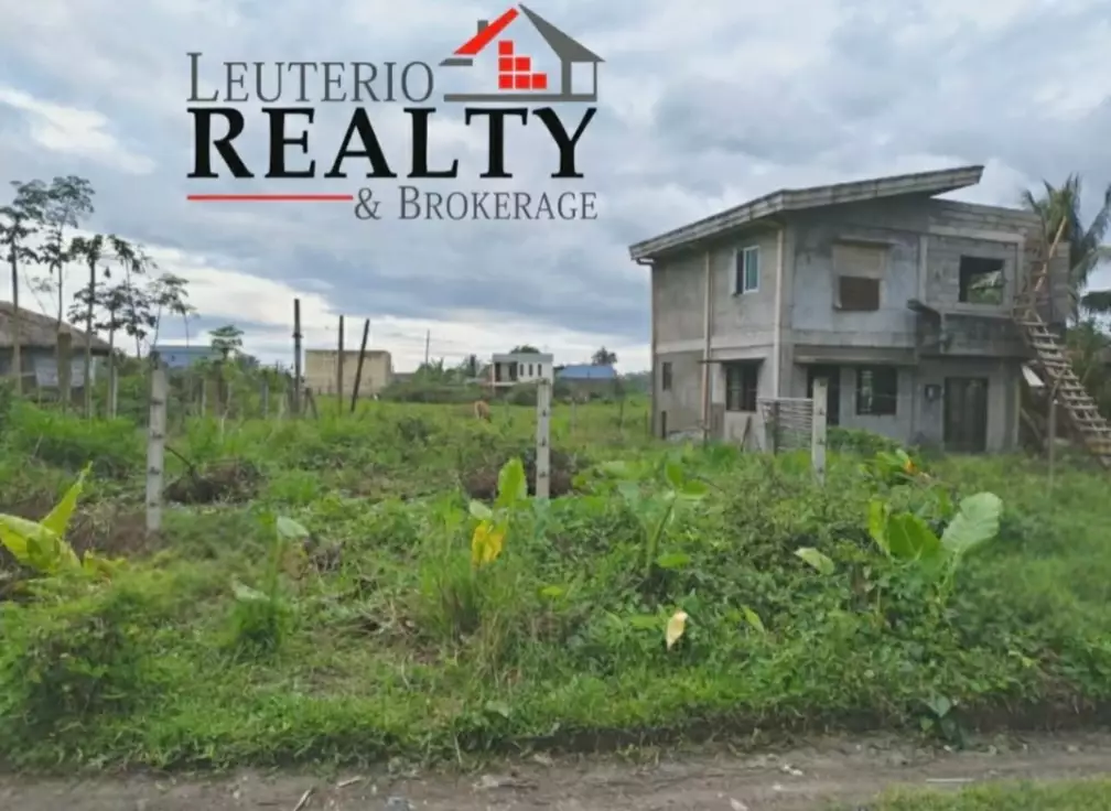 Residential Lot in Modern Village — Residential Lot in San Jose, Pili, Camarines Sur — Photo 4