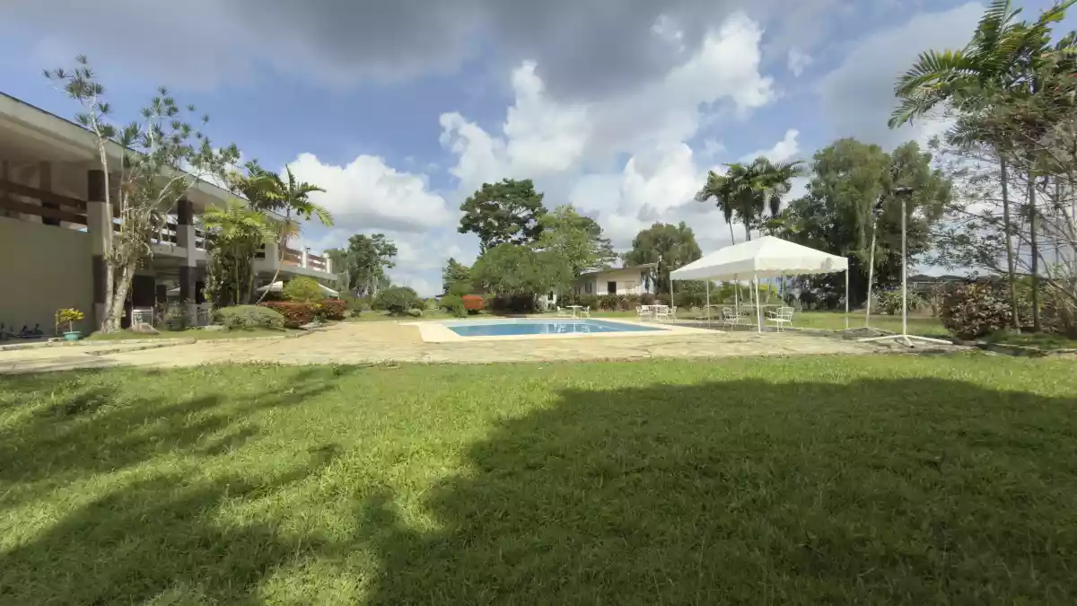 For Sale Menzi Orchard : Residential Lot in Damilag, Manolo Fortich — 524 sqm — Residential Lot in Manolo Fortich, Bukidnon, 8703 — Photo 2