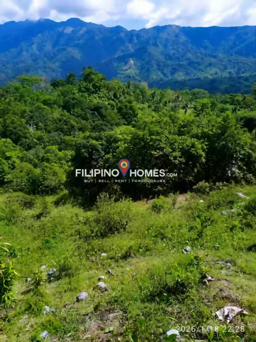 Affordable Farm Lot — Agricultural Lot in Kimarayang, Pigkawayan, Cotabato — Photo 2