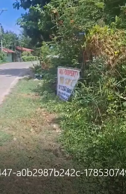 For Sale: Residential Lot Near Libaong White Sand Beach, Panglao — 1260 sqm — Residential Lot in Panglao, Bohol, 6340 — Photo 2