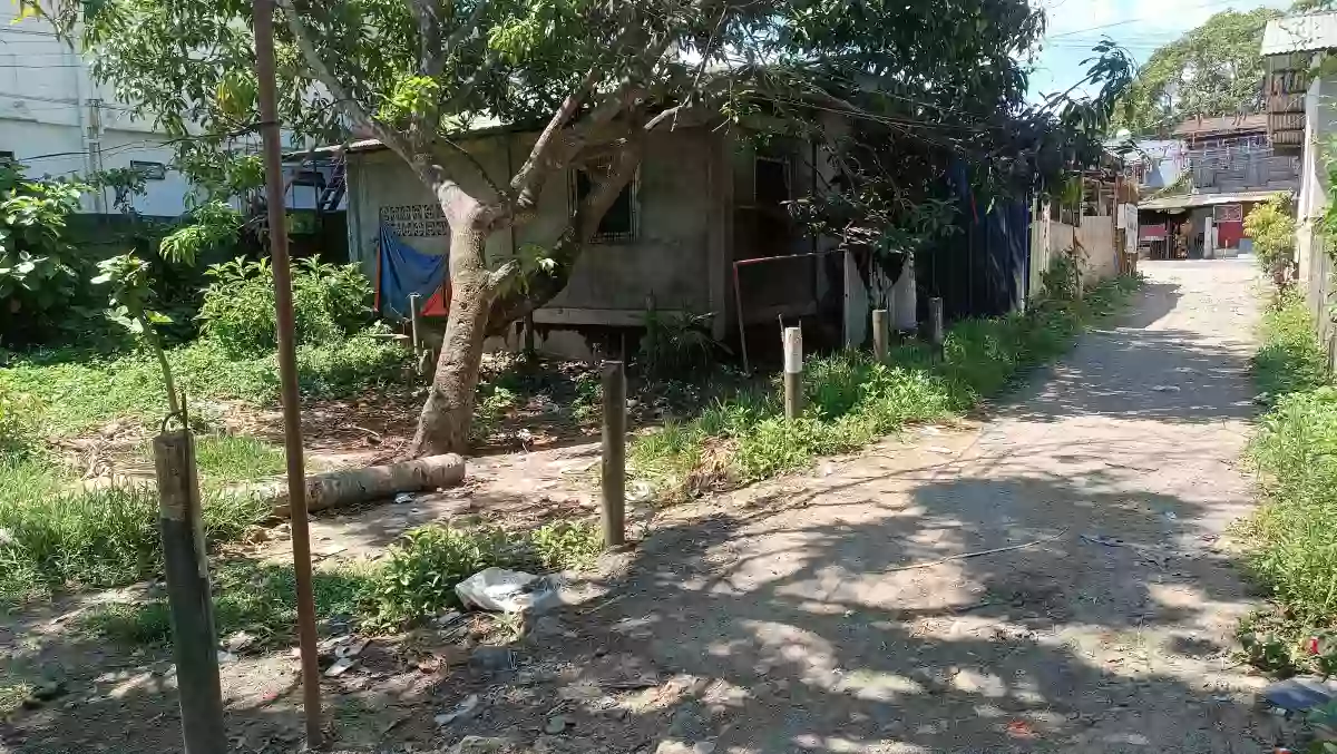 For Sale: Residential Lot in Panikihan, Gumaca — 200 sqm Clean Title — Residential Lot in Gumaca, Quezon, 4307 — Photo 4