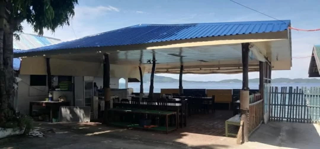 For Sale: Beach Lot in San Teodoro, Mabini — 1482 sqm — Beach Lot in Mabini, Batangas, 4202 — Photo 7