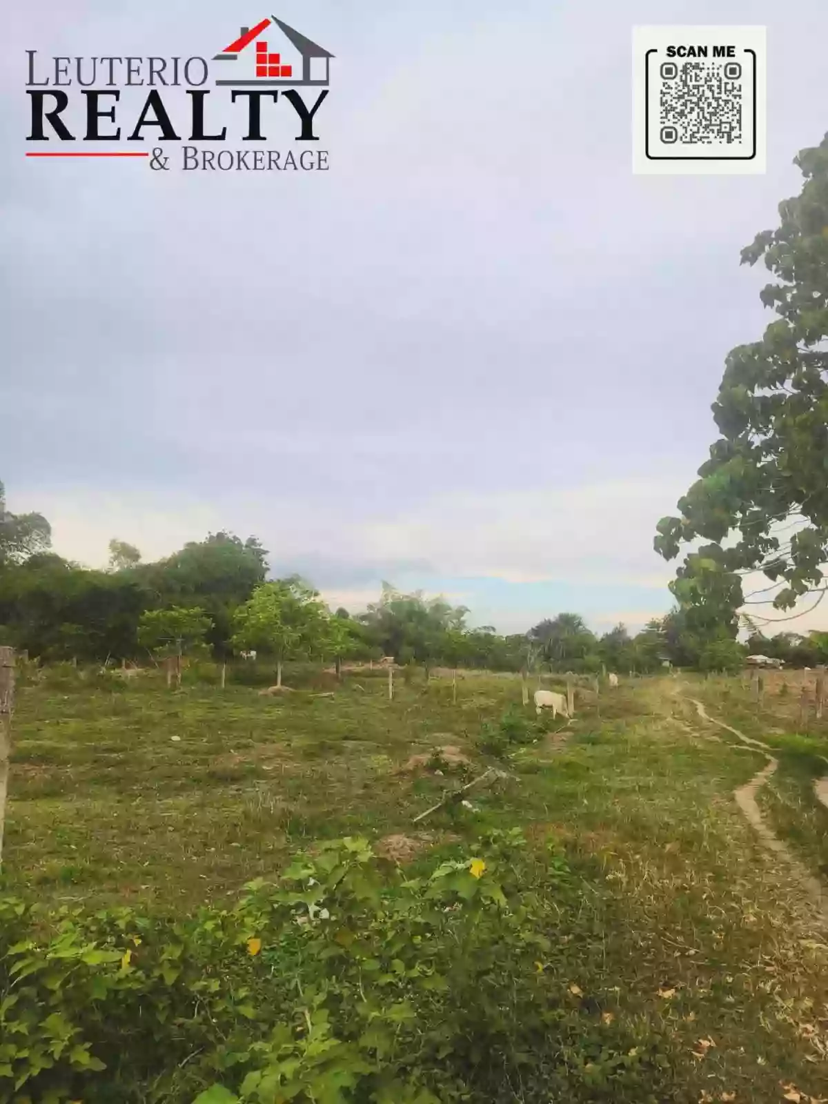 For Sale: 6,239 Farm Lot in Pacol, Naga City — Agricultural Lot in Naga City, Camarines Sur, 4400 — Photo 5