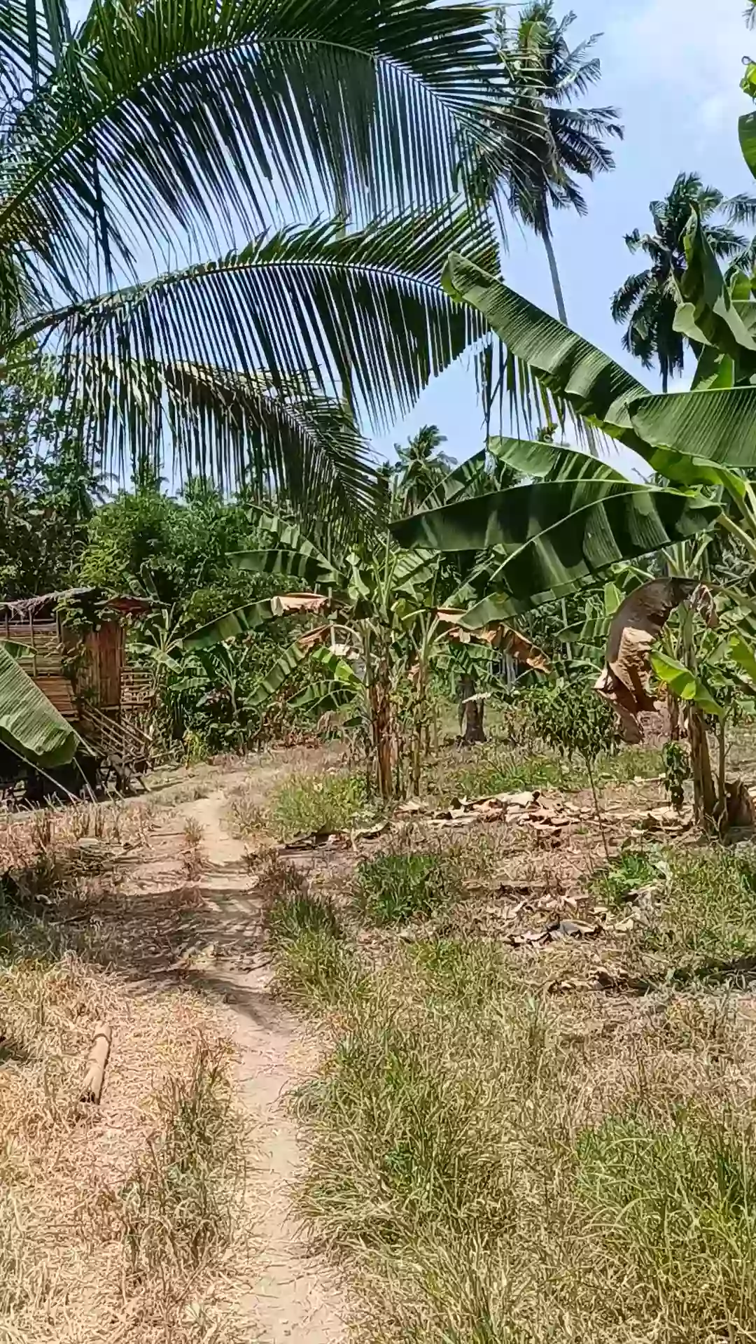 For Sale: Agricultural Lot in Tuatua, Matiao, Mati City — 60,316 sqm — Agricultural Lot in Matiao, Mati, Davao Oriental — Photo 7