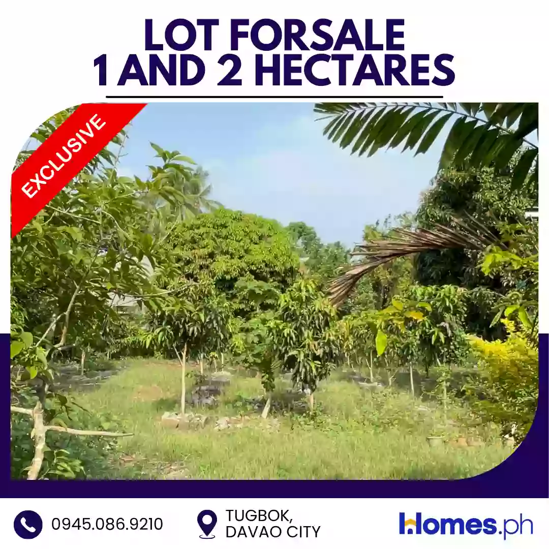 For Sale: Residential Lot in Tugbok (Pob.), Davao City — 30000 sqm — Residential Lot in Davao City, Davao del Sur, 8000 — Photo 4
