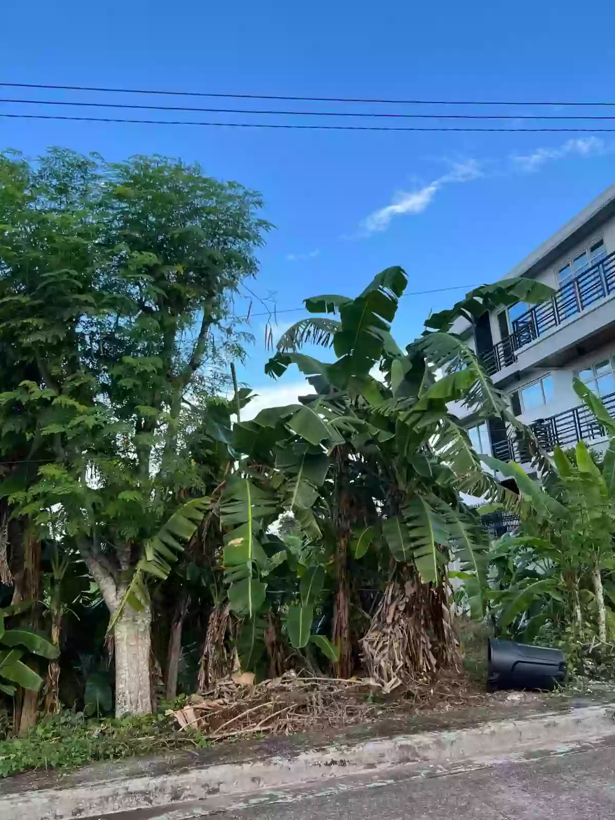 For Sale: Residential Lot Metropolis Subd, Iloilo City — 300 sqm — Residential Lot in Iloilo City, Iloilo, 5000 — Photo 5