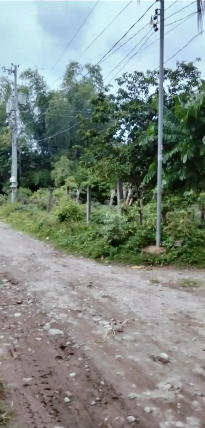 For Sale: Residential Lot Near Bacong Rural Health Unit, Bacong — 500 sqm