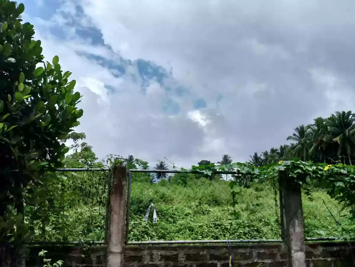 For Sale: 20000 sqm Agricultural Lot in Pagalungan, Polomolok — Agricultural Lot in Polomolok, South Cotabato, 9504 — Photo 6