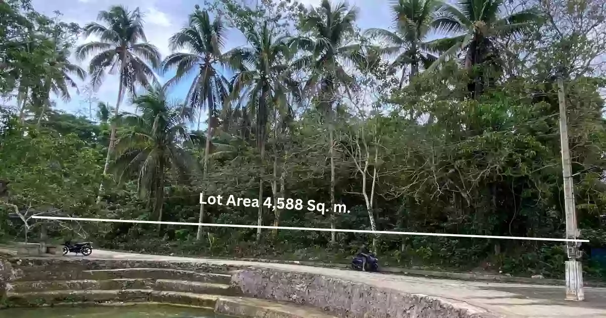 For Sale: Residential Lot in Campagao, Bilar — 4,588 sqm — Residential Lot in Loay Interior Road, Campagao, Bilar — Photo 4