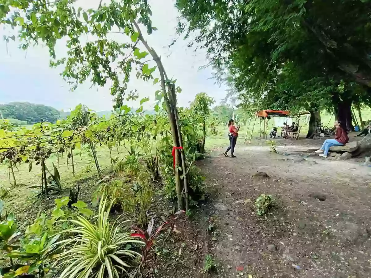 East Ridge Village east parcel of land — Commercial Lot in Pag-Asa, Binangonan, Rizal — Photo 4