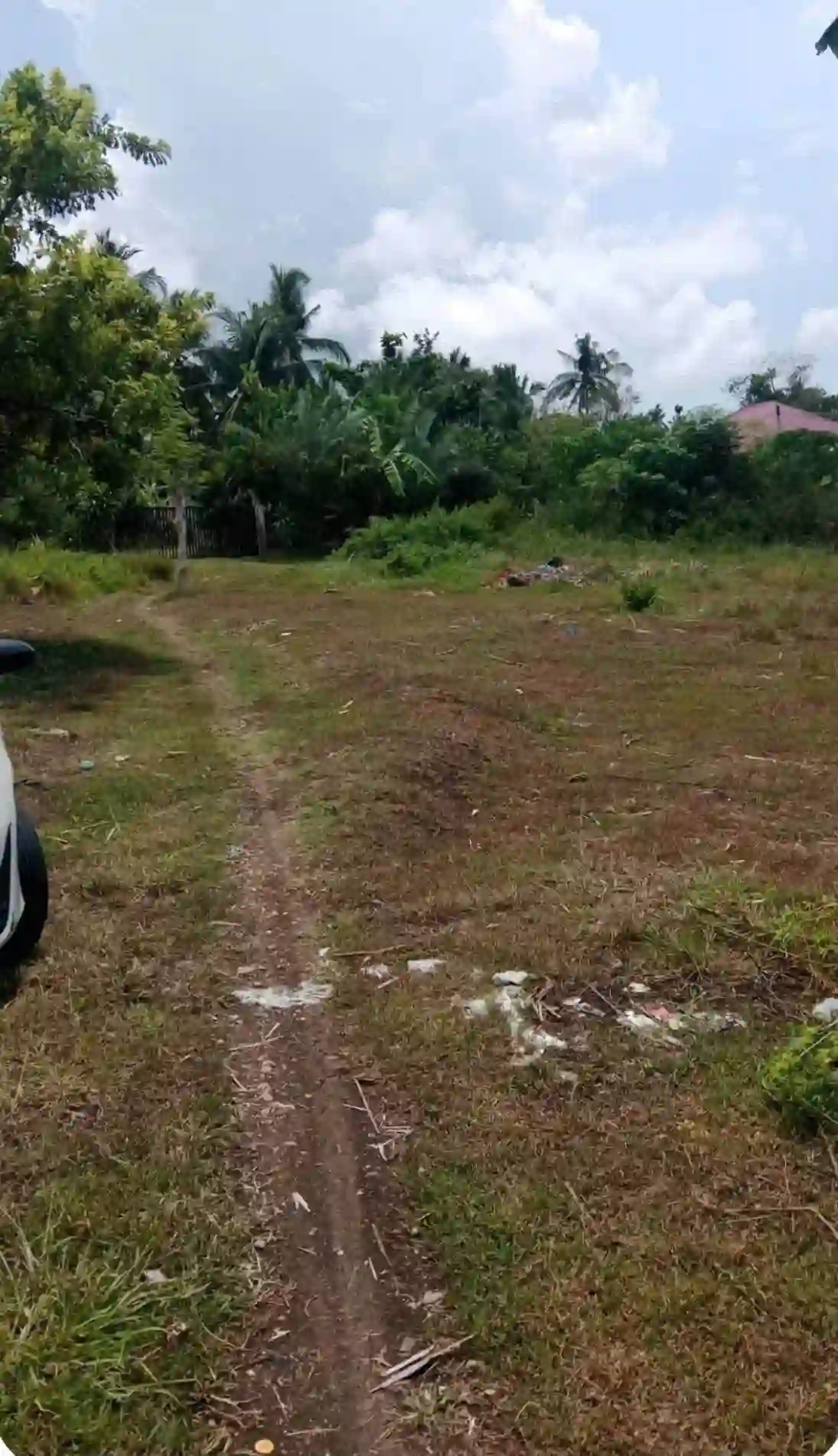 For Sale: Beach Lot in Bogo, Argao, Cebu — 4430 sqm — Beach Lot in Argao, Cebu, 6021 — Photo 4