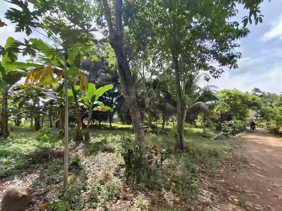 For Sale: Calinan (Pob.) Residential Lot in Davao City — Near School
