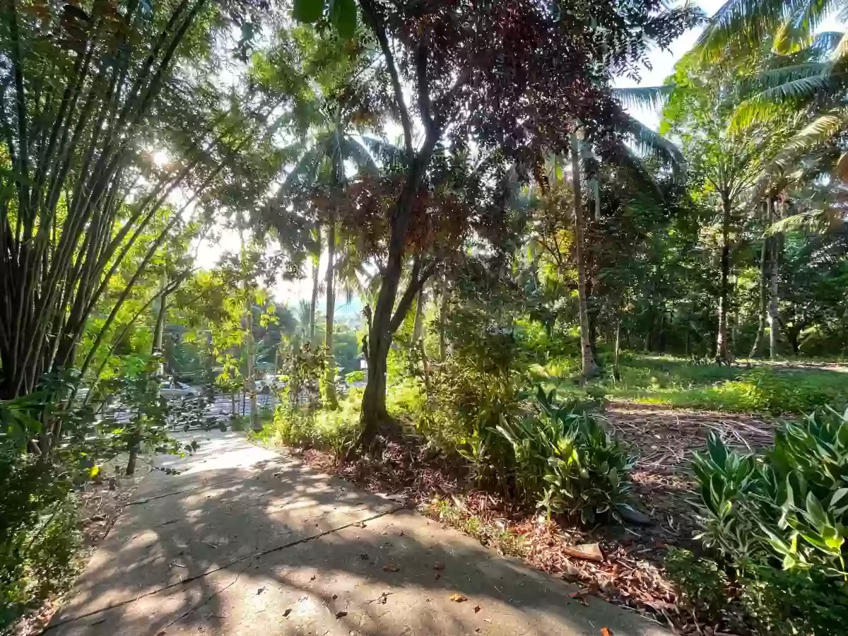 TAGUANAO LOT FOR SALE — Residential Lot in Indahag, Cagayan de Oro City, Misamis Oriental — Photo 4