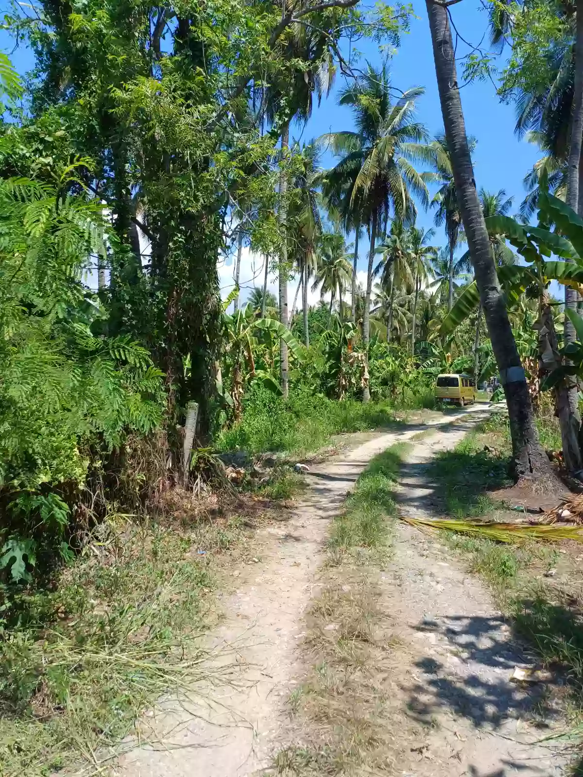 Residential Lot at Zone 1 Opol. — Residential Lot in Igpit, Opol, Misamis Oriental — Photo 3