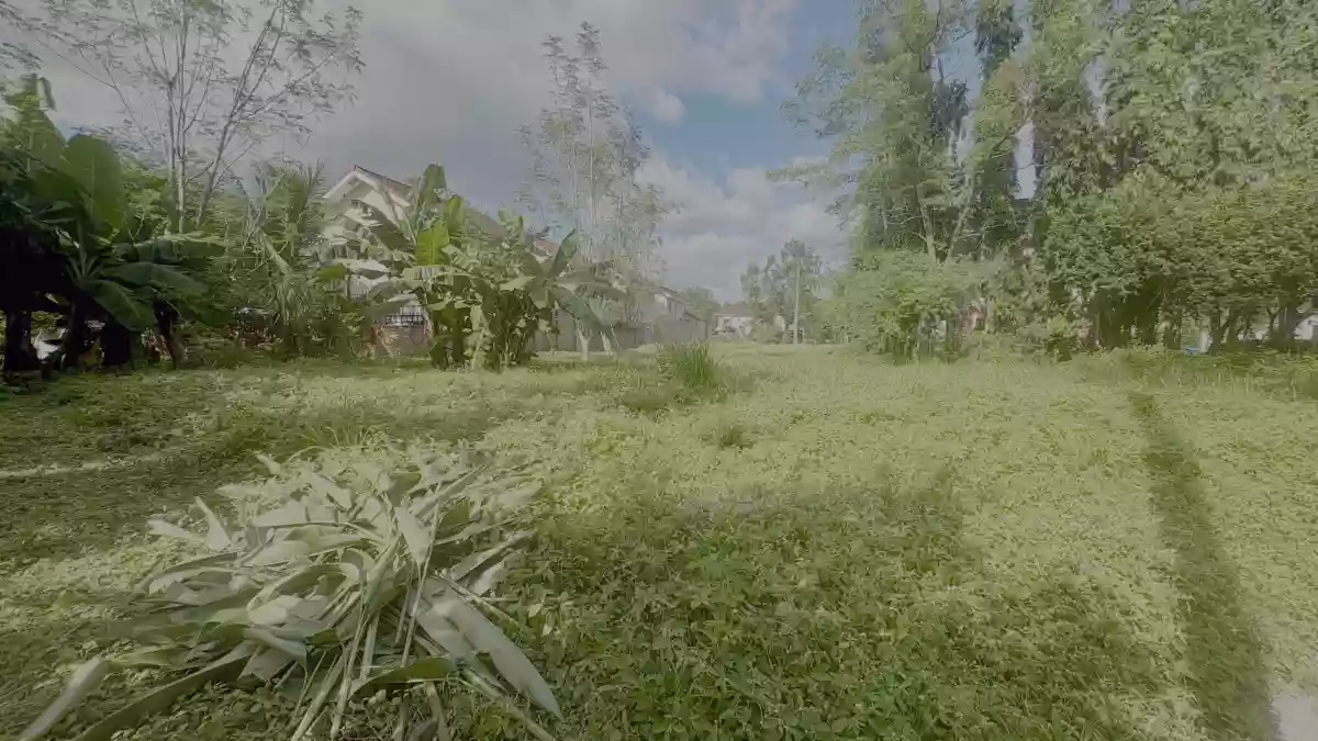 For Sale: Residential Lot in Panipuan, Mexico, Pampanga — 336 sqm — Residential Lot in Panipuan, Mexico, Pampanga — Photo 4