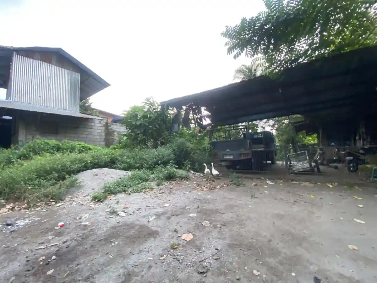 For Sale: Poblacion Commercial Lot in Polomolok — Investor-Friendly 423 sqm — Commercial Lot in Poblacion, Polomolok, South Cotabato — Photo 4