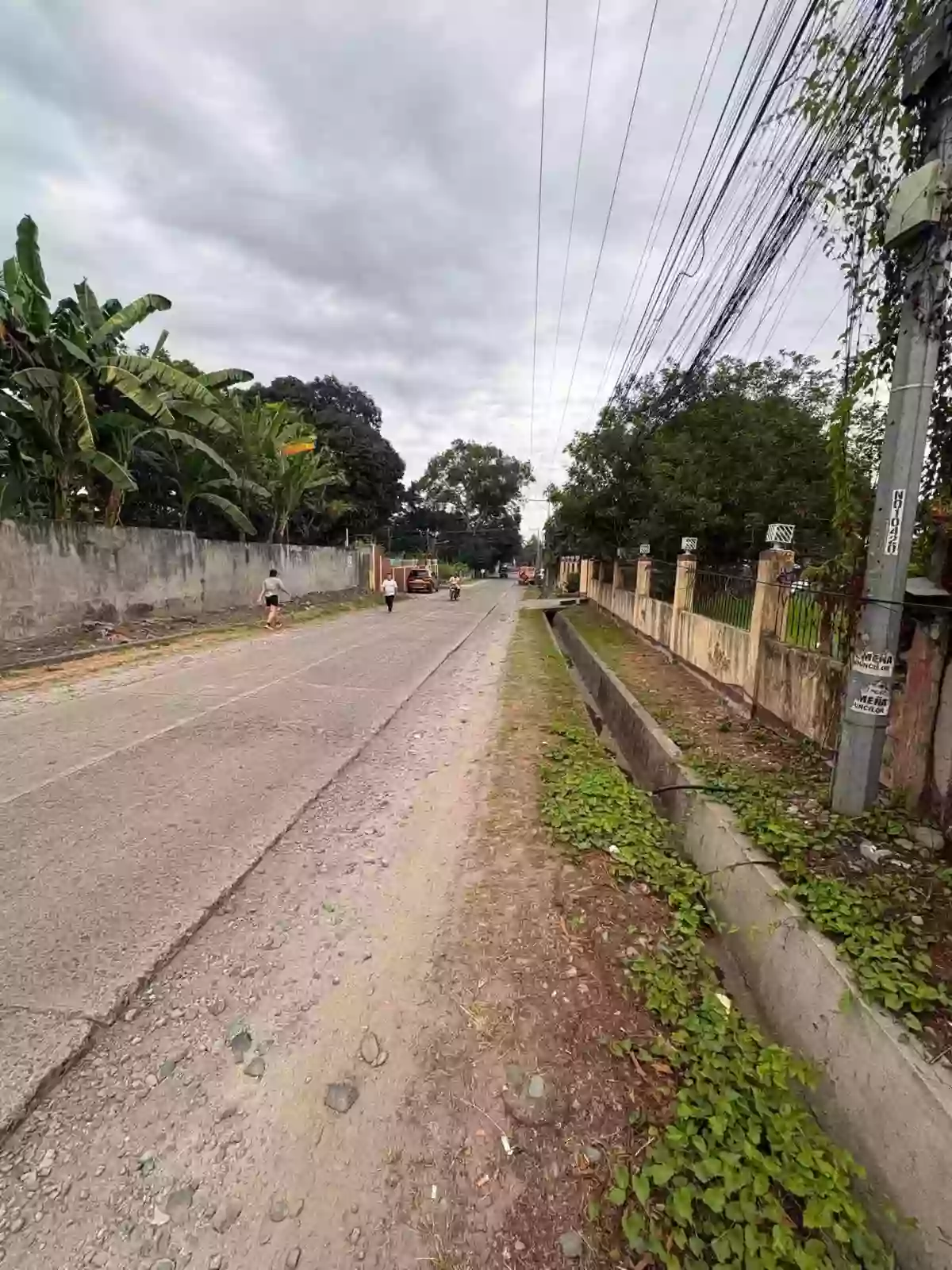 For Sale Commercial Lot in Banilad, Dumaguete City 3104 sqm — Commercial Lot in Dumaguete City, Negros Oriental, 6200 — Photo 4