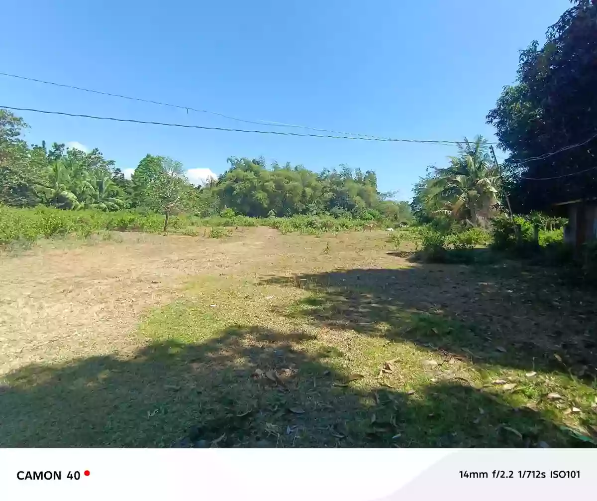 For Sale: Magatas Residential Lot in Sibulan, Negros Oriental — 3058 sqm — Residential Lot in Sibulan, Negros Oriental, 6201 — Photo 6