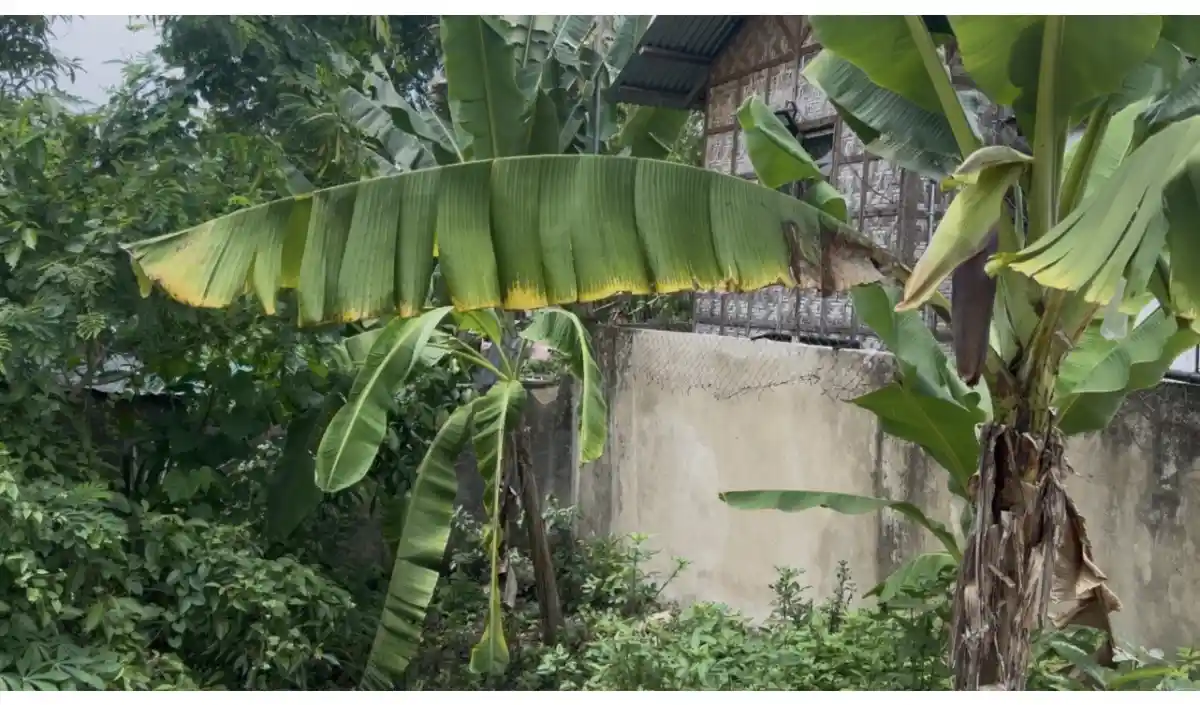 LOT FOR SALE — Residential Lot in Liloan, Cebu, 6002 — Photo 4