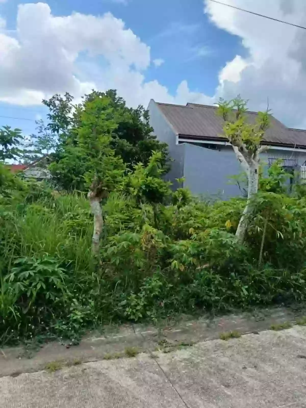 RESIDENTIAL LOT FOR SALE — Residential Lot in Naga City, Camarines Sur, 4400 — Photo 4