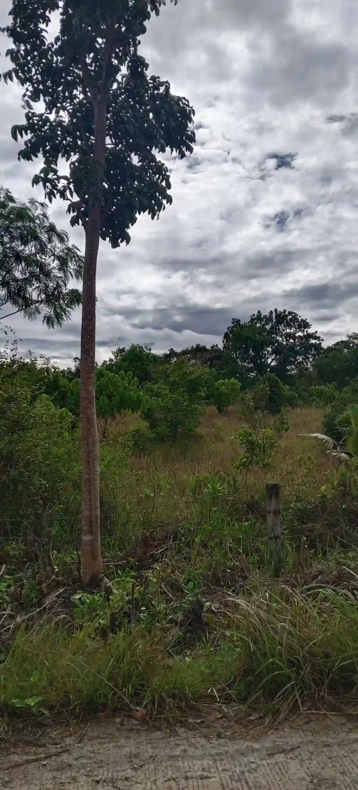 Residential lot suitable for a high end subdivision
