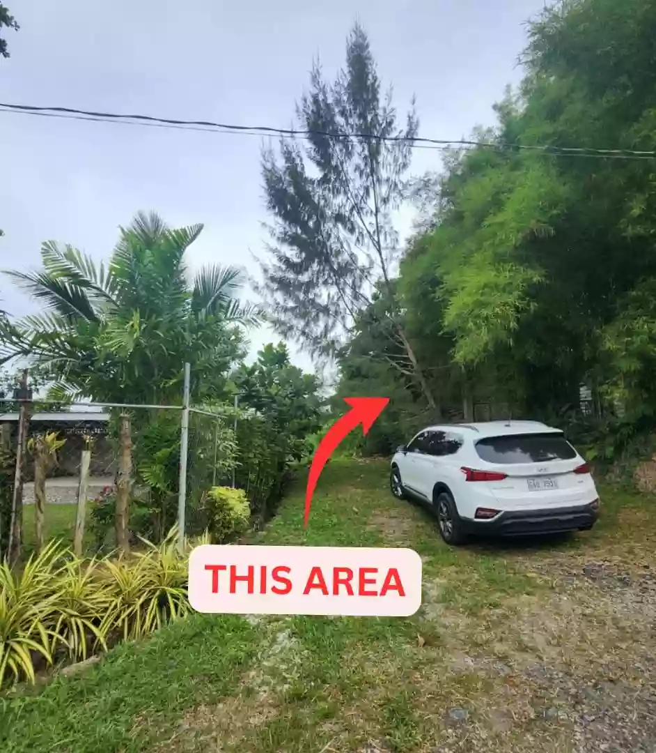For Sale: Residential Lot in Brgy. Lipata, Surigao City — 275 sqm — Residential Lot in Surigao City, Surigao del Norte, 8400 — Photo 3
