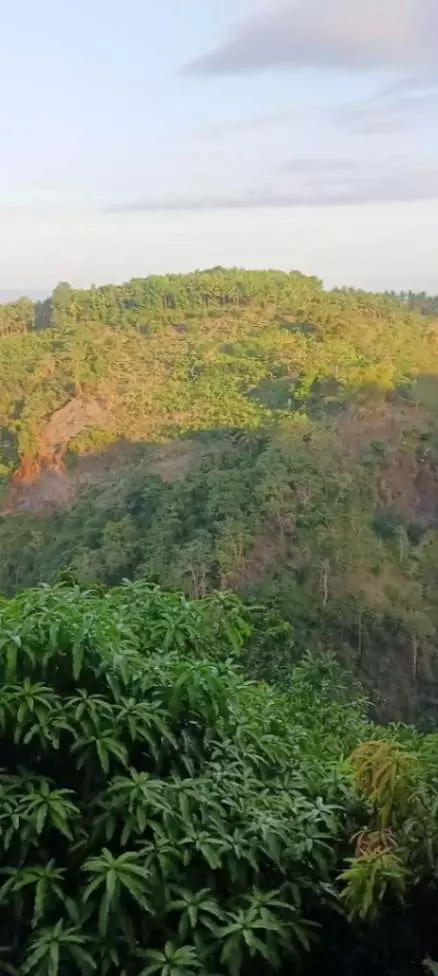 LOT FOR SALE IN JANAYJANAY, SAN JOSE, NEGROS ORIENTAL - photo 7