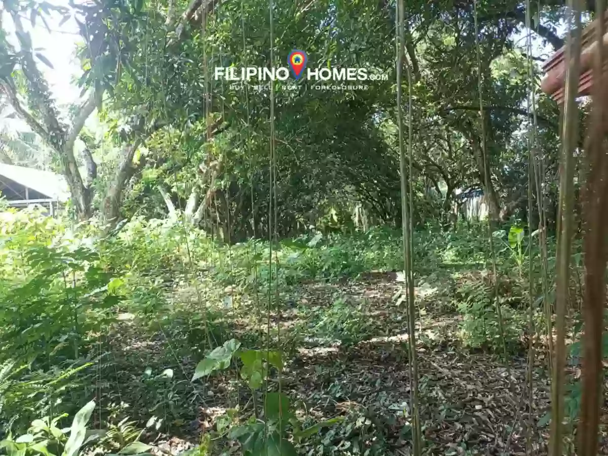 For Sale: 1711 sqm Agricultural Lot in Kiwanan, Midsayap — Agricultural Lot in Midsayap, Cotabato, 9410 — Photo 2