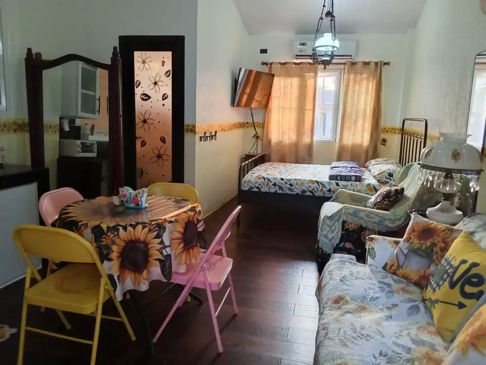 Open photo 12 of 15 — Farmhouse in Tagaytay City, for only 40M 651sqm