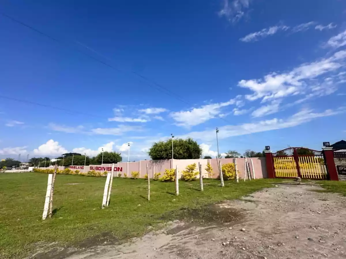 For Sale: Primeland Subd. Residential Lot in Mabuhay, General Santos City — Investment — Residential Lot in Mabuhay, General Santos City, South Cotabato — Photo 5