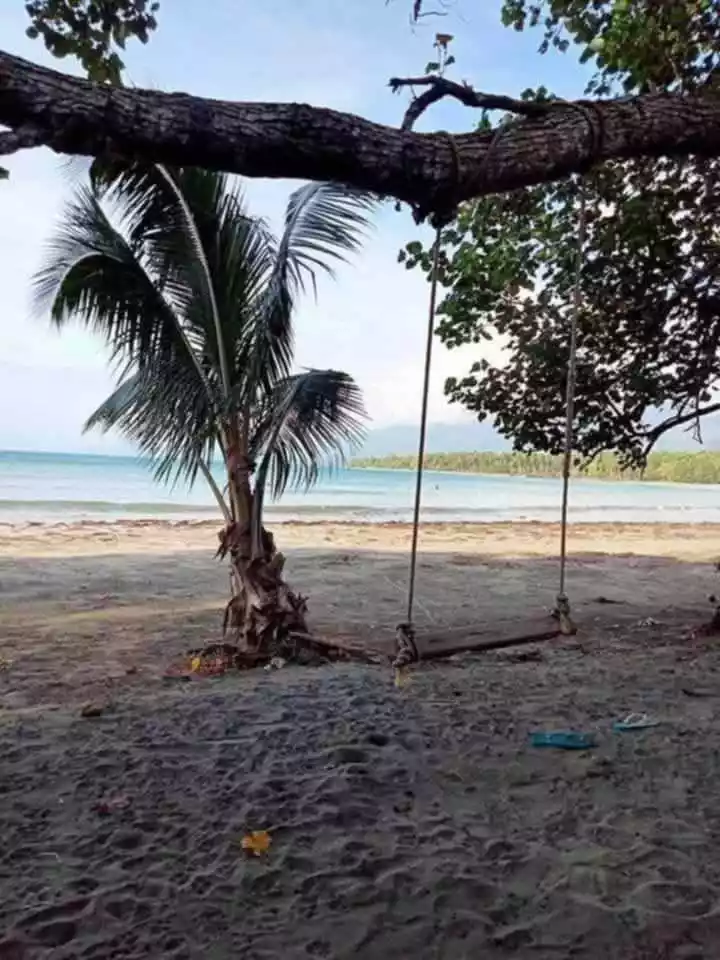 FOR SALE Beach Lot in Napsan, Puerto Princesa City — 12628 sqm — Beach Lot in Puerto Princesa City, Palawan, 5300 — Photo 3