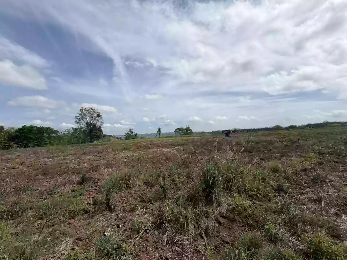 For Sale: Agricultural Lot in Liboran, Balungon, Bukidnon — 14000 sqm