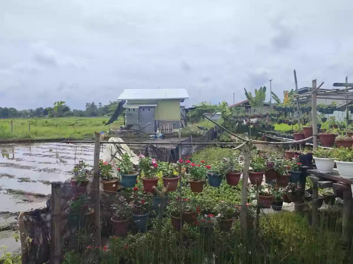 For Sale: Agricultural Lot Near Gaisano Grand Calinan, Davao City — 2000 sqm — Agricultural Lot in Calinan (Pob.), Davao City, Davao del Sur — Photo 2