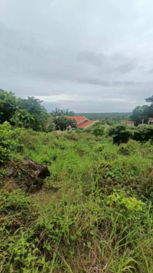 For Sale: Prime Overlooking Lot in Valencia, Negros Oriental/ Dumaguete City
