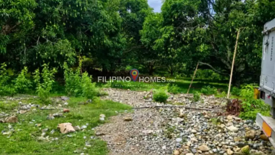 For Sale: Agricultural Lot in Anick, Pigkawayan — 46096 sqm — Agricultural Lot in Pigkawayan, Cotabato, 9412 — Photo 5