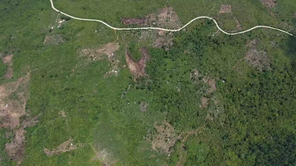 AGRICULTURAL LAND FOR SALE AT PUERTO PRINCESA CITY PALAWAN — Agricultural Lot in Puerto Princesa City, Palawan, 5300 — Photo 4
