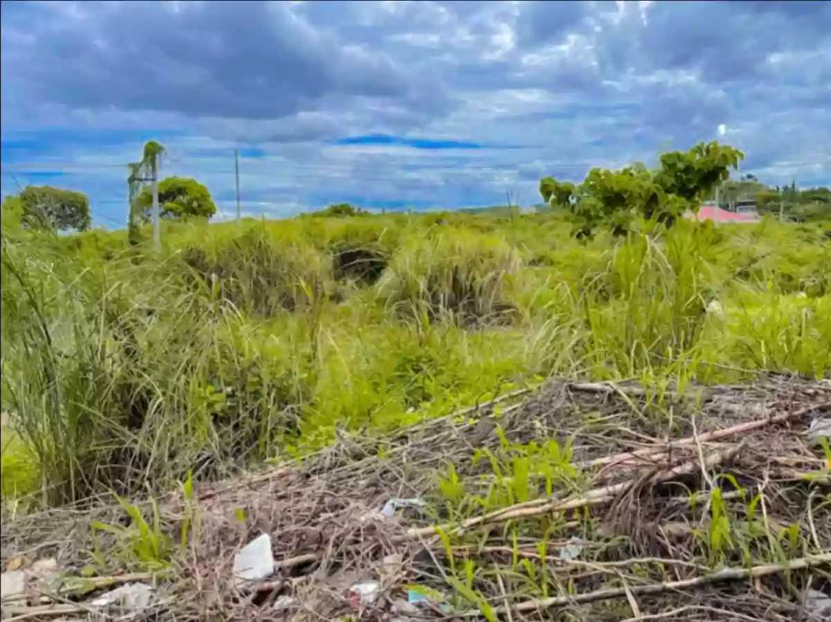 For Sale: Residential Lot in Santa Cruz, Liloan, Cebu — 276 sqm — Residential Lot in Liloan, Cebu, 6002 — Photo 4