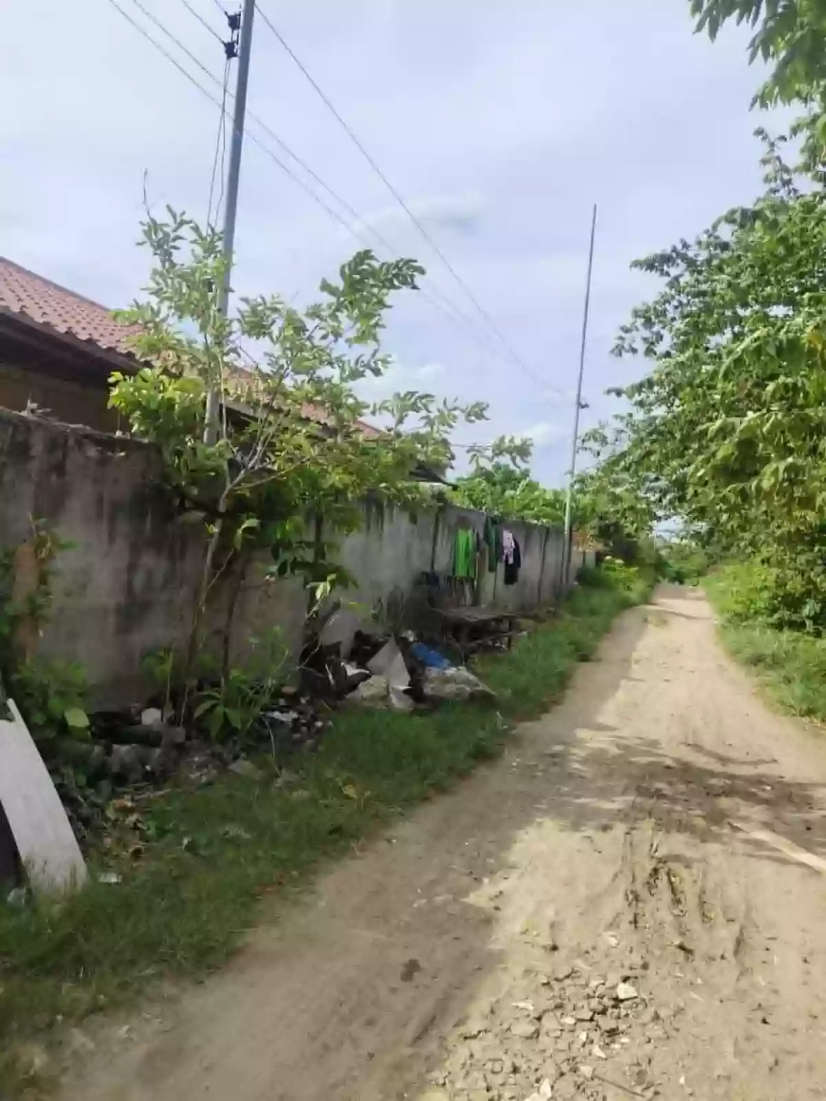 For Sale: Commercial Lot Near Mactan, Lapu-Lapu City — 3000 sqm — Commercial Lot in Lapu-lapu City, Cebu, 6015 — Photo 6