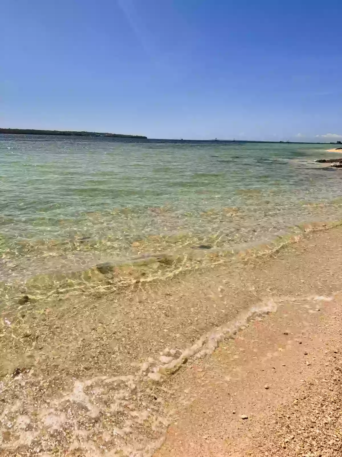 For Sale: Beach Lot in Mahawak, Medellin, Cebu — 816 sqm — Beach Lot in Medellin, Cebu, 6012 — Photo 4
