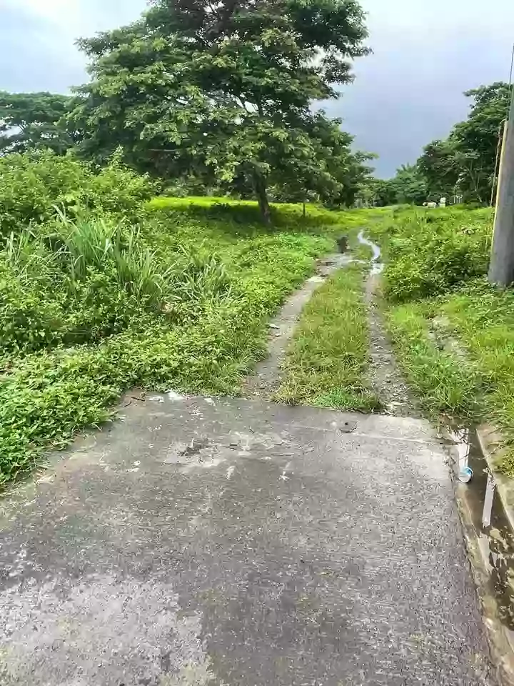 For Sale: Residential Lot in Masalukot I, Candelaria — 90 sqm — Residential Lot in Masalukot I, Candelaria, Quezon — Photo 6