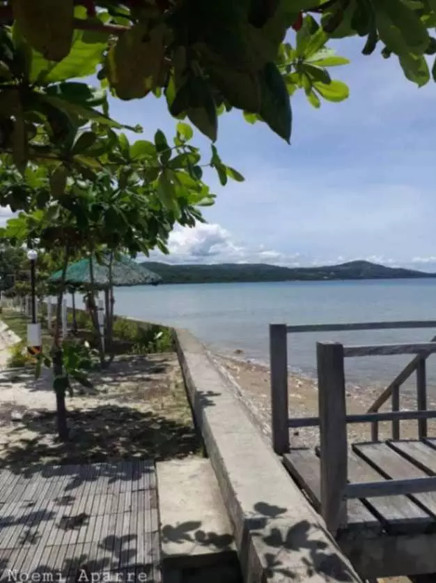 FOR SALE: ONE-STOREY SINGLE DETACHED HOUSE AND LOT AT ARGAO ROYAL PALMS - photo 4