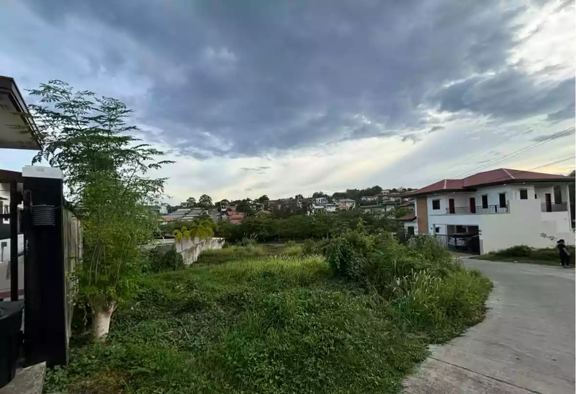 313 sqm Residential Lot for Sale in Communal, Davao City — Investment — Residential Lot in Davao City, Davao del Sur, 8000 — Photo 5