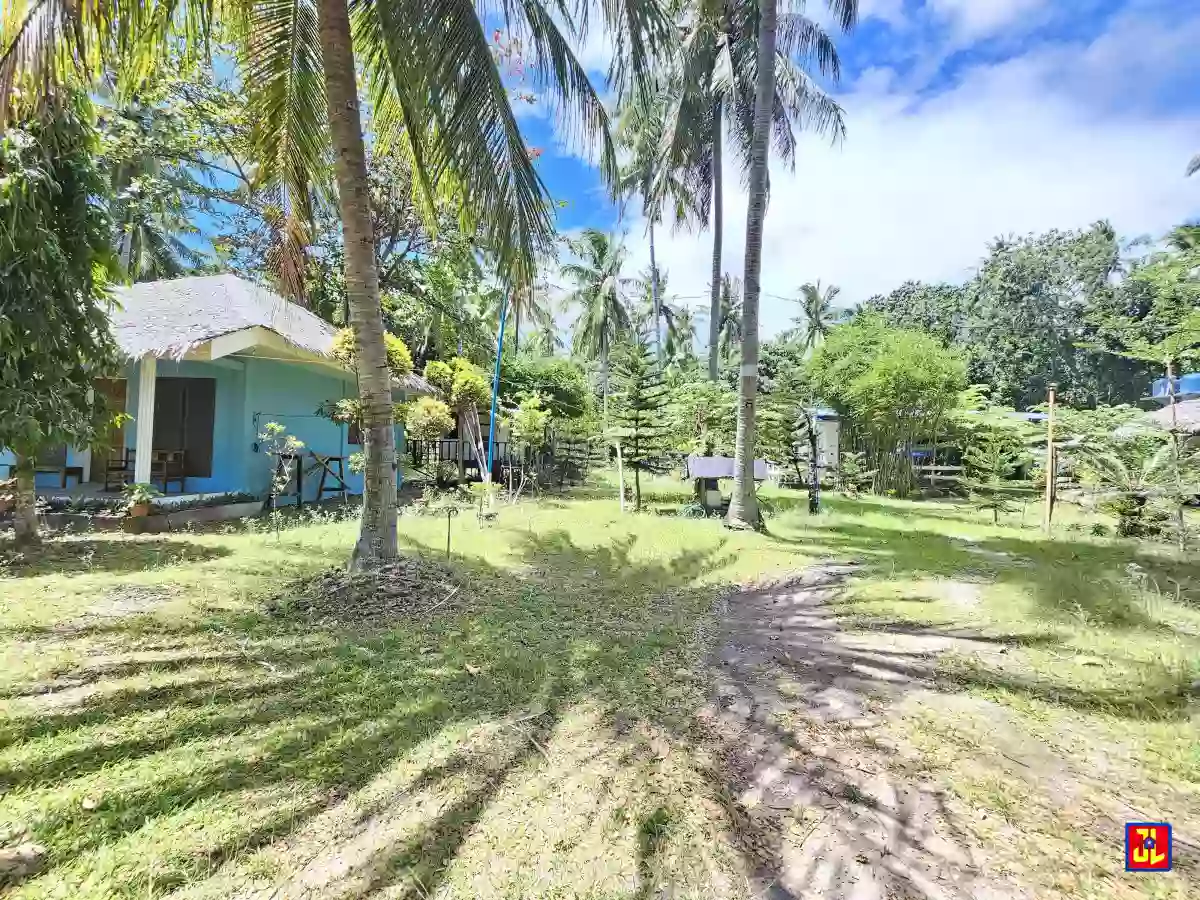 Rush Sale 28,265sqm Beach Lot in Maayongtubig, Dauin, Negros Oriental [available] — Beach Lot in Dauin, Negros Oriental, 6217 — Photo 4