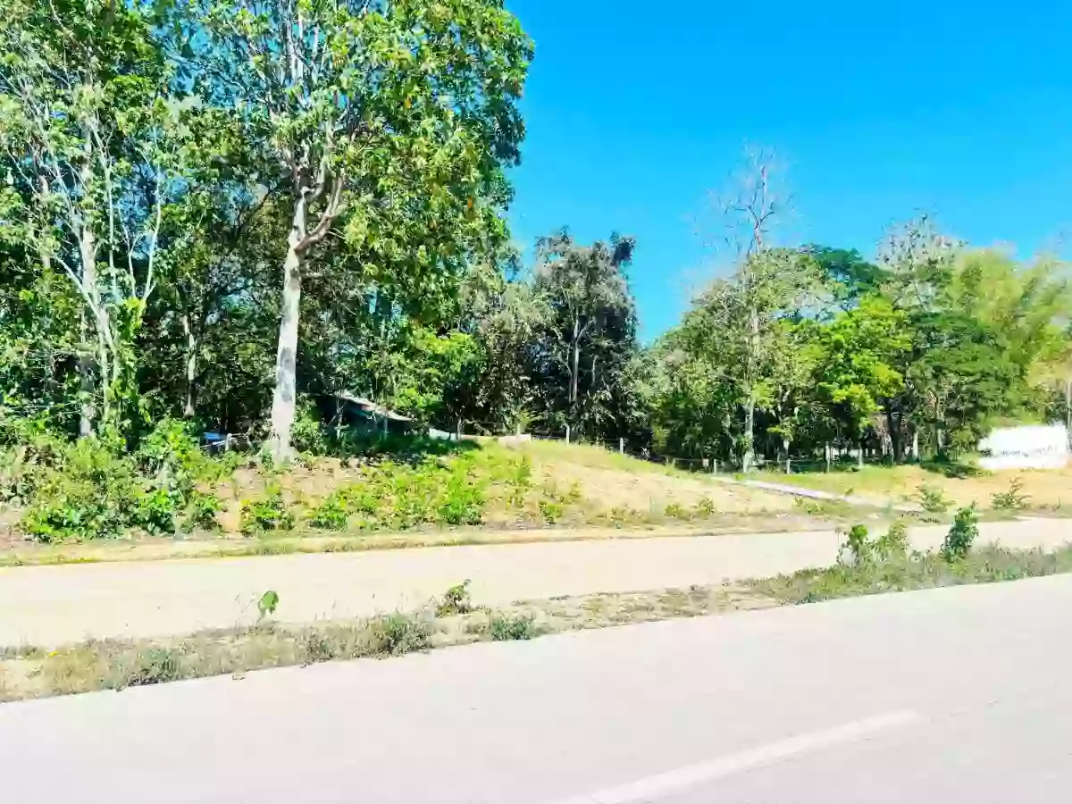 For Sale: Commercial Lot in Bulua, Cagayan de Oro City — 24245 sqm — Commercial Lot in Cagayan de Oro City, Misamis Oriental, 9000 — Photo 3