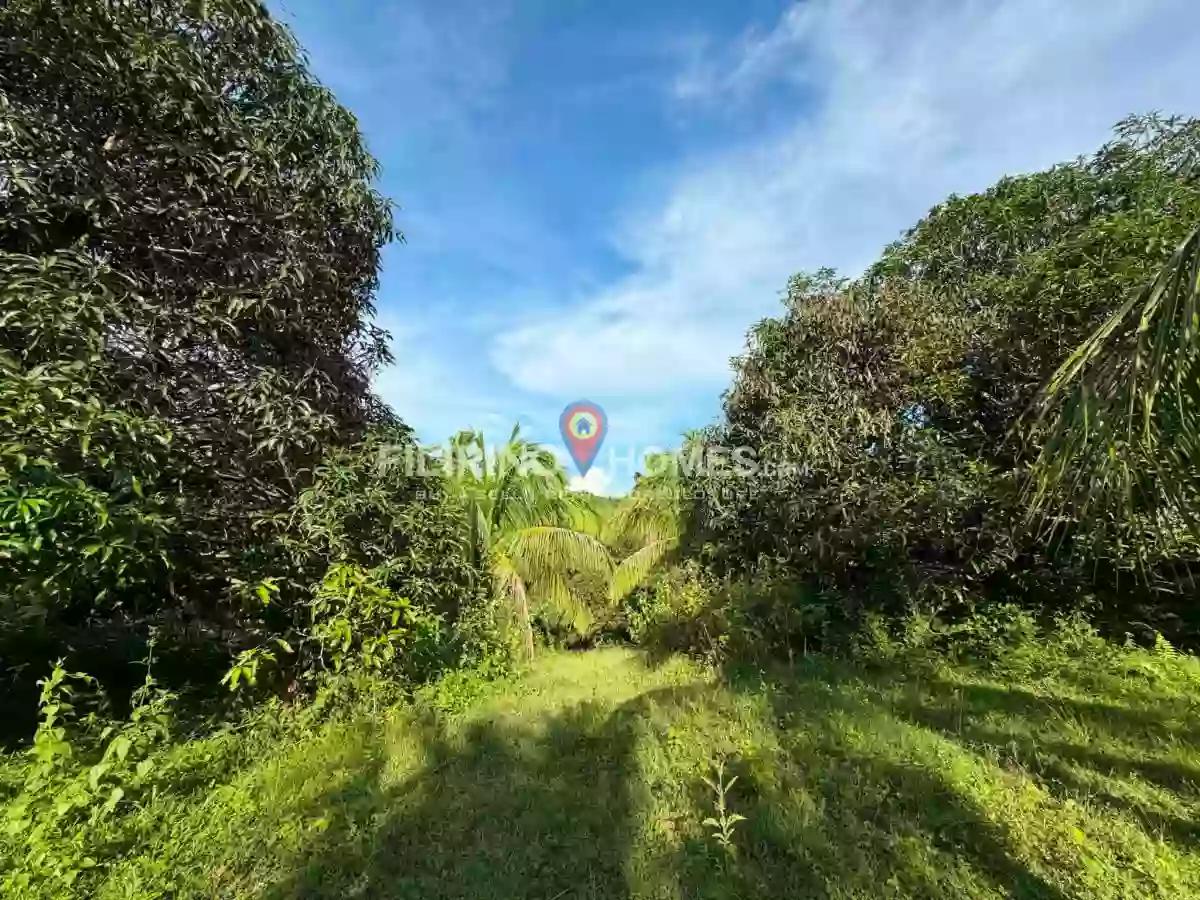 For Sale  Farm Lot