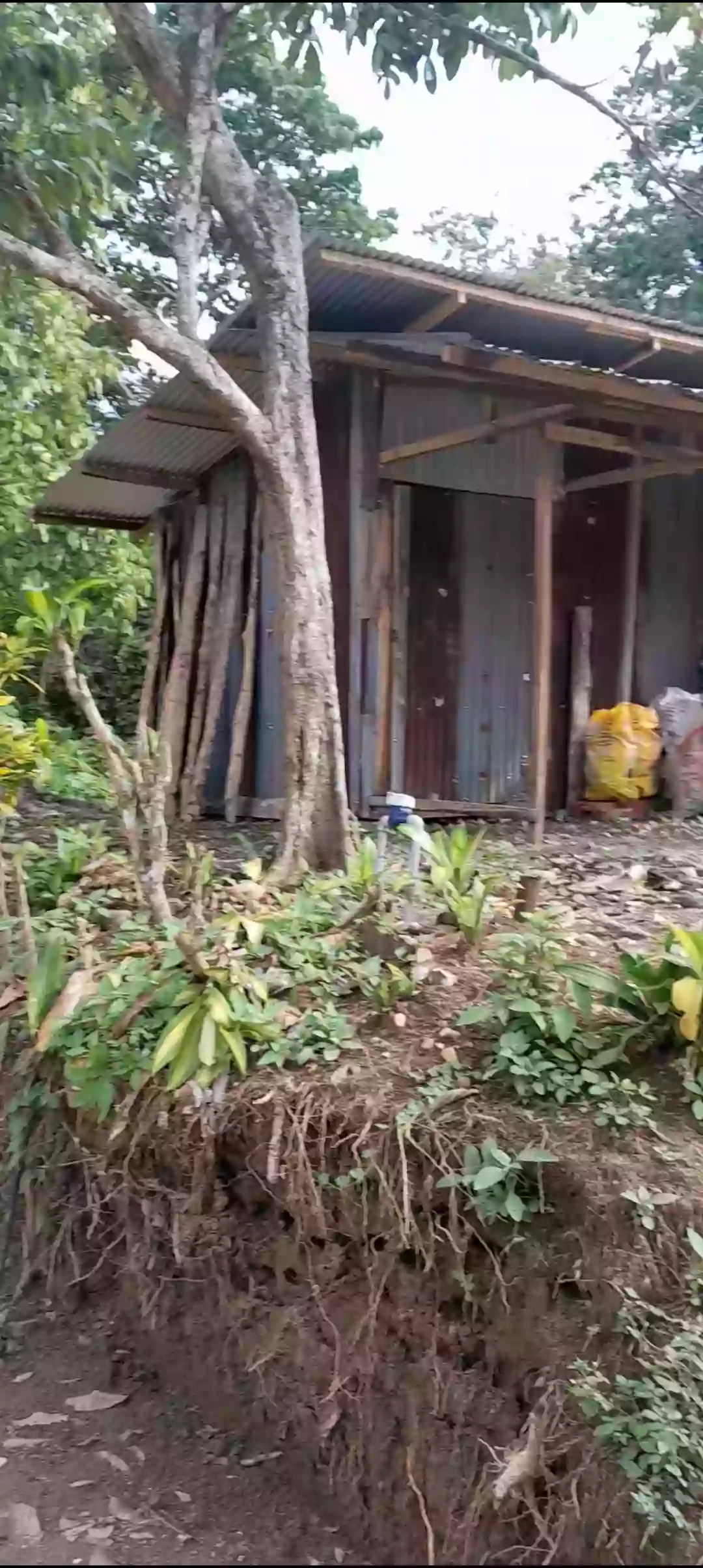 For Sale: Residential Lot in Singao, Kidapawan City — 400 sqm — Residential Lot in Singao, Kidapawan City, Cotabato — Photo 3